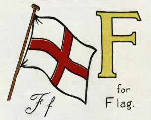 Kiddiewiddies Prints: F for Flag