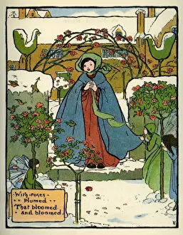 Plumed Prints: F Harrison. With roses plumed