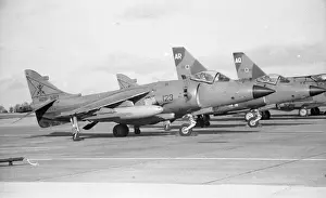 Aerospace Prints: Fa Sea Harrier FRS. 1 ZB607 - Culdrose