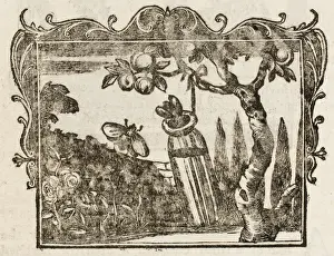 Extravagant Prints: Fable / the Two Bees