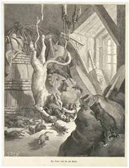 Fable / Cat and Old Rat