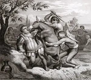 Fable Collection: FABLE / MAN & DONKEY FABLE / MAN & DONKEY