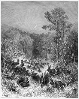 Flee Prints: Fable / the Rabbits