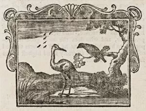 Dodsley Gallery: Fable / Stork & Crow