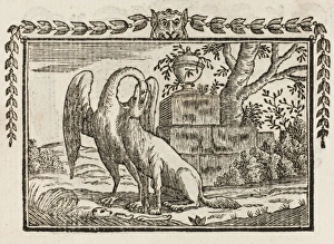 Closing Gallery: Fable / Wolf and Crane