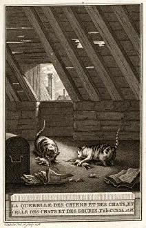 Fables Gallery: FABLES / CATS AND MICE
