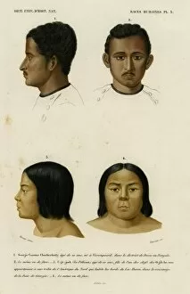 Images Dated 17th October 2011: Faces of racial types, Bengali and Ojibwe