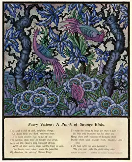 Lush Prints: Faery Visions - a Prank of Strange Birds
