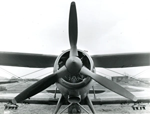 Albacore Gallery: Fairey Albacore