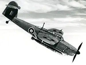 Barracuda Prints: Fairey Barracuda II, P9667