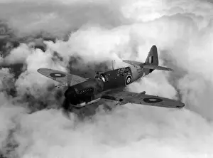 Firefly Prints: Fairey Firefly 1 Z2117