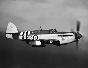 Fairey Firefly