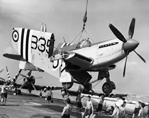 Hoist Prints: Fairey Firefly