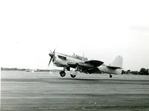 Firefly Prints: Fairey Firefly AS7, WJ146