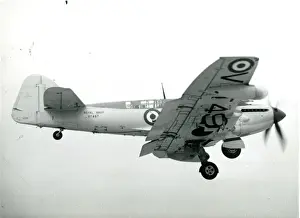 Firefly Prints: Fairey Firefly FR4, VT497