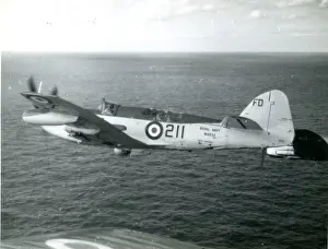 Firefly Prints: Fairey Firefly FR4, WH632