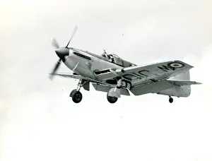 Firefly Prints: Fairey Firefly FR4, WJ106