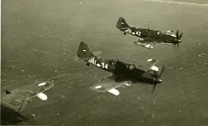 Firefly Prints: Fairey Firefly FR4s of the Royal Netherlands Naval Air S?