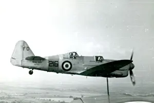 Firefly Prints: Fairey Firefly T1, MB564