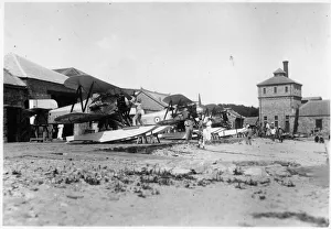 Amphibians Collection: Fairey Flycatcher amphibians