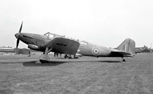 Fulmar Prints: Fairey Fulmar II G-AIBE - N8154