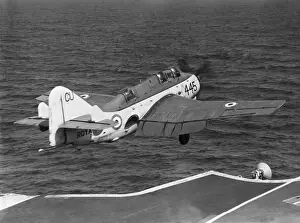 Fairey Gannet