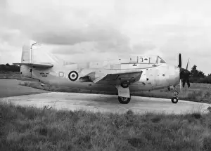 Fairey Gannet