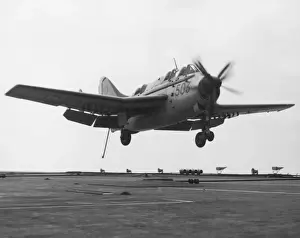 Fairey Gannet
