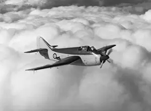 Fairey Gannet
