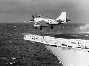 Fairey Gannet