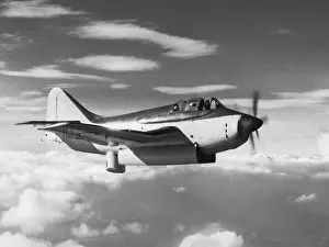 Fairey Gannet