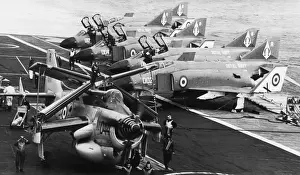 Fairey Gannet