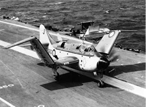 Fairey Gannet AS1 WN346