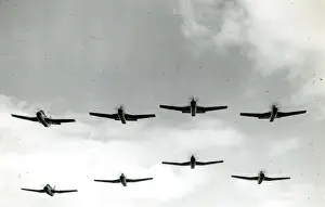 Eight Prints: Eight Fairey Gannets