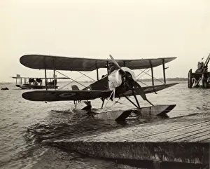 Possibly Prints: Fairey Hamble Baby, possibly N1194