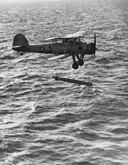 String Prints: Fairey Swordfish