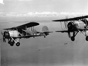Three Fairey Swordfish Is including L9784