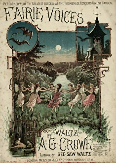 Fairie Voices C1860 Fairie Voices C1860