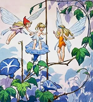 Images Dated 4th July 2006: Fairies