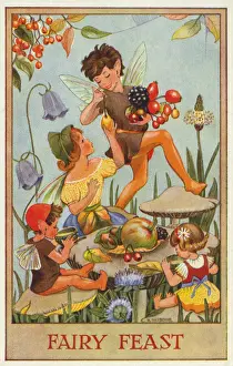 Fairies & flowers