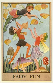 Fairies & flowers