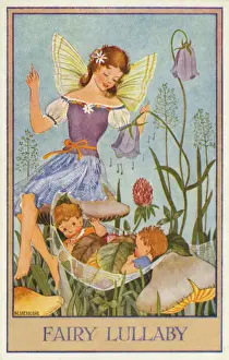 Fairies & flowers