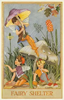 Fairies & flowers