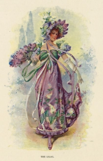 Images Dated 6th January 2016: Fairies of the Garden - The Lilac