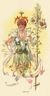 Images Dated 6th January 2016: Fairies of the Garden - The Lily