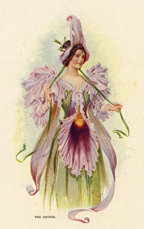 Images Dated 6th January 2016: Fairies of the Garden - The Orchid