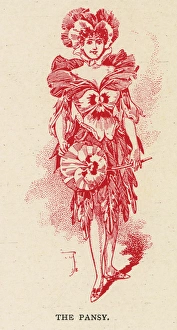 Images Dated 6th January 2016: Fairies of the Garden - The Pansy