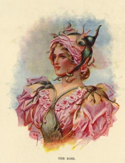 Images Dated 6th January 2016: Fairies of the Garden - The Rose