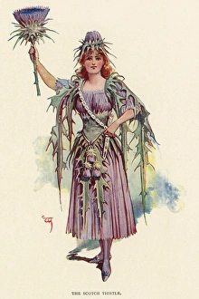 Images Dated 6th January 2016: Fairies of the Garden - The Scotch Thistle