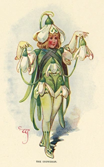 Images Dated 6th January 2016: Fairies of the Garden - The Snowdrop
